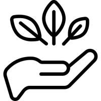 Doğal Ürünler